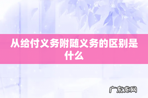从给付义务附随义务的区别是什么