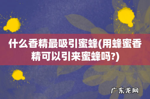 用蜂蜜香精可以引来蜜蜂吗? 什么香精最吸引蜜蜂