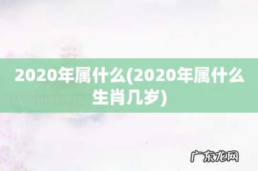 2020年属什么生肖几岁 2020年属什么