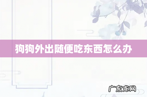 狗狗外出随便吃东西怎么办