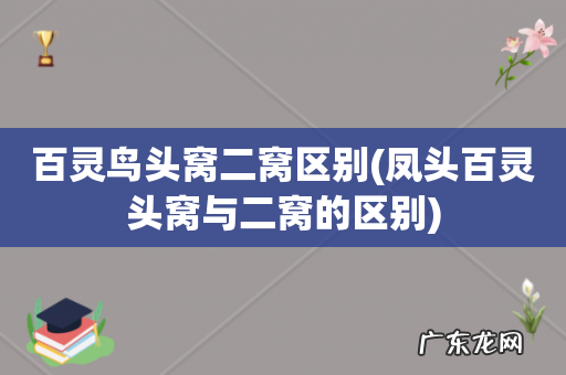 凤头百灵头窝与二窝的区别 百灵鸟头窝二窝区别