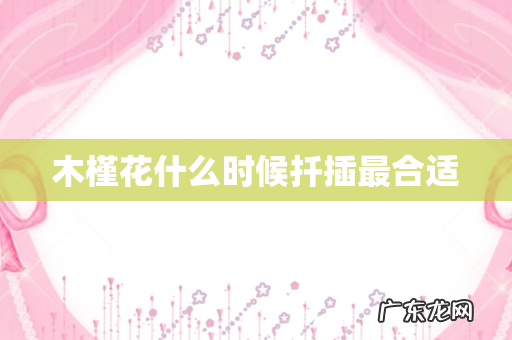 木槿花什么时候扦插最合适