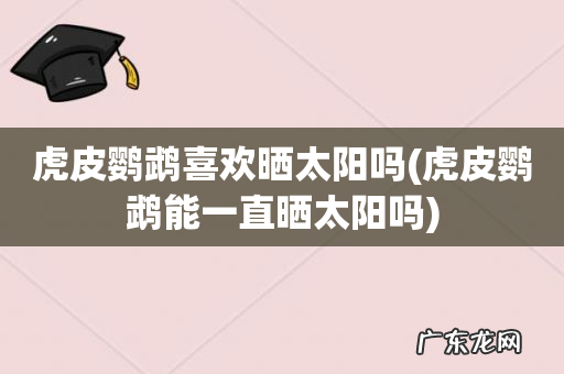 虎皮鹦鹉能一直晒太阳吗 虎皮鹦鹉喜欢晒太阳吗