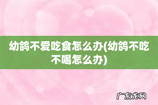 幼鸽不吃不喝怎么办 幼鸽不爱吃食怎么办