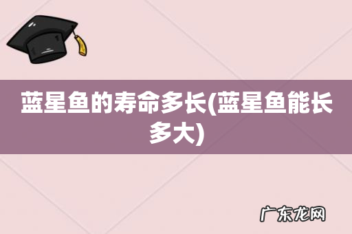 蓝星鱼能长多大 蓝星鱼的寿命多长