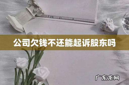 公司欠钱不还能起诉股东吗
