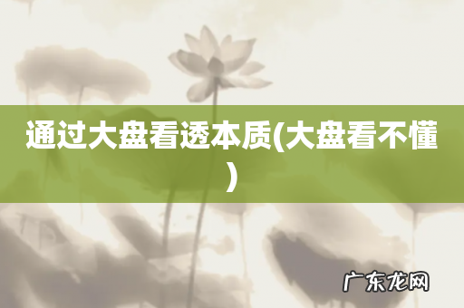 大盘看不懂 通过大盘看透本质