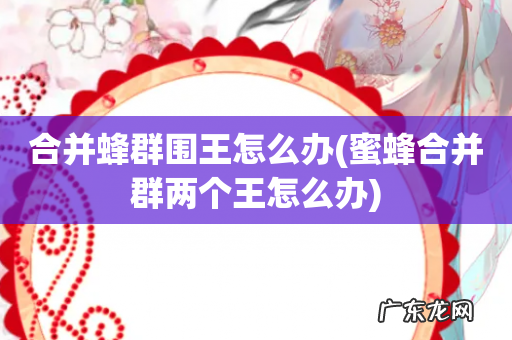 蜜蜂合并群两个王怎么办 合并蜂群围王怎么办