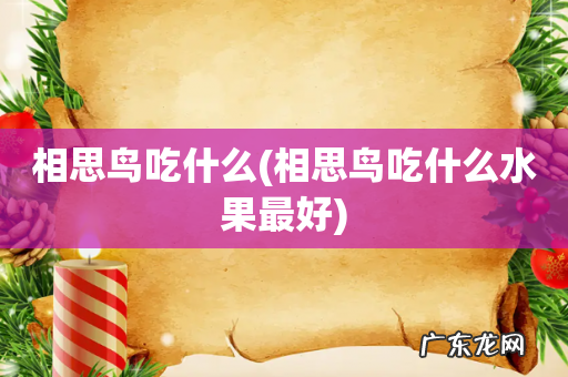 相思鸟吃什么水果最好 相思鸟吃什么