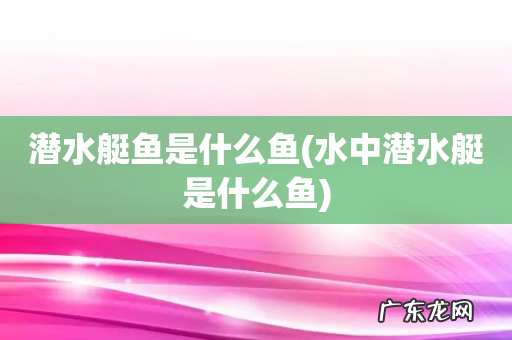 水中潜水艇是什么鱼 潜水艇鱼是什么鱼