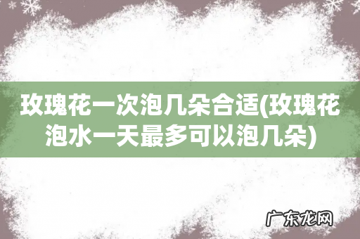 玫瑰花泡水一天最多可以泡几朵 玫瑰花一次泡几朵合适