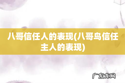 八哥鸟信任主人的表现 八哥信任人的表现