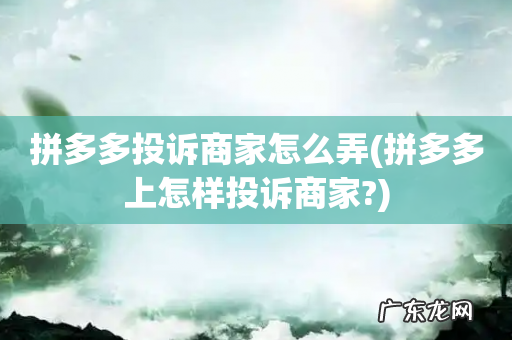拼多多上怎样投诉商家? 拼多多投诉商家怎么弄
