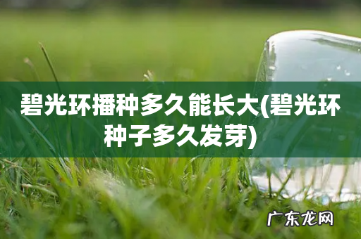 碧光环种子多久发芽 碧光环播种多久能长大