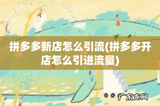 拼多多开店怎么引进流量 拼多多新店怎么引流