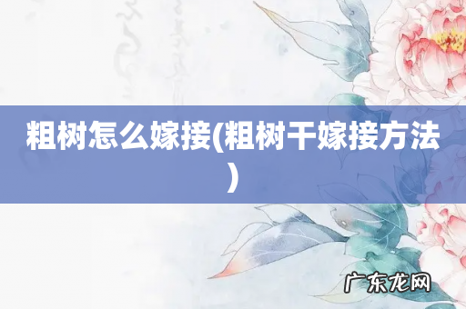 粗树干嫁接方法 粗树怎么嫁接