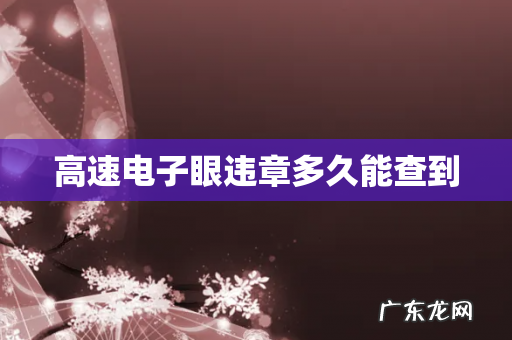 高速电子眼违章多久能查到