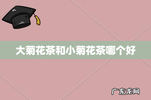 大菊花茶和小菊花茶哪个好