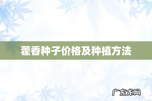 藿香种子价格及种植方法
