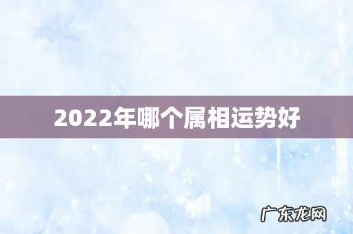2022年哪个属相运势好