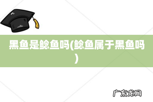 鲶鱼属于黑鱼吗 黑鱼是鲶鱼吗