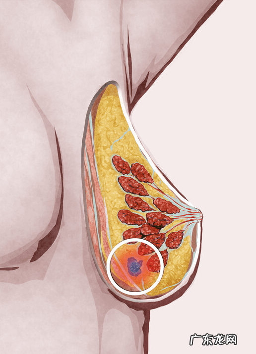 内分泌失调吃什么能调理 内分泌失调吃什么好