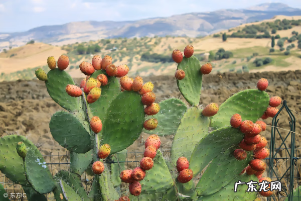 太阳的特点和作用 太阳的风水作用