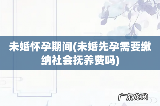 未婚先孕需要缴纳社会抚养费吗 未婚怀孕期间