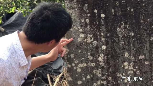 粤西风水留题地 广东徐闻十大风水大地