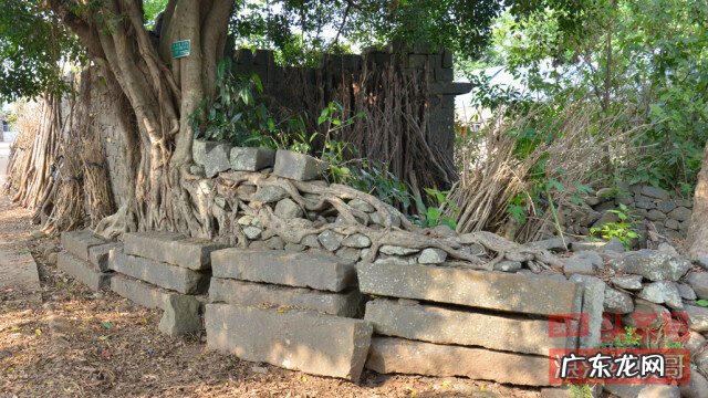 粤西风水留题地 广东徐闻十大风水大地