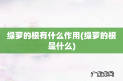 绿萝的根是什么 绿萝的根有什么作用