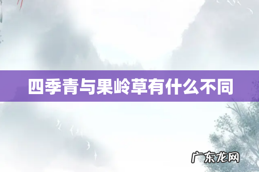 四季青与果岭草有什么不同