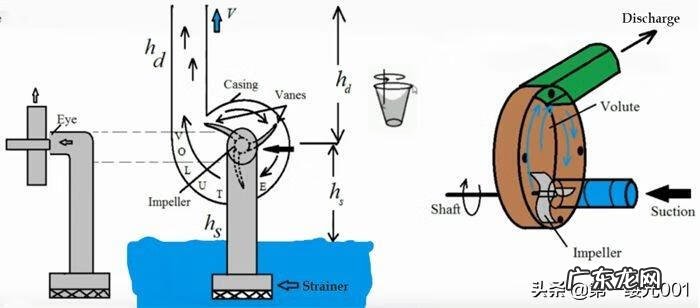 简述水泵的工作原理 水泵工作原理图解