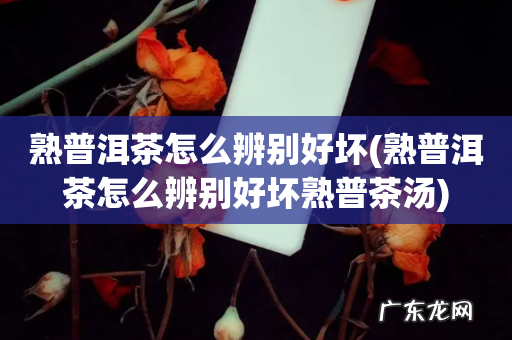 熟普洱茶怎么辨别好坏熟普茶汤 熟普洱茶怎么辨别好坏