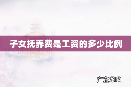 子女抚养费是工资的多少比例