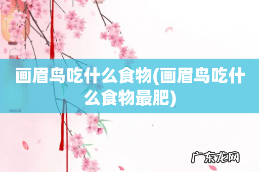 画眉鸟吃什么食物最肥 画眉鸟吃什么食物