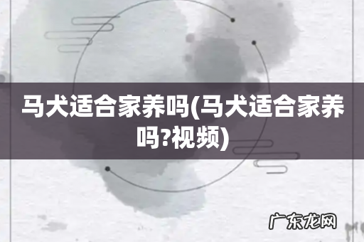 马犬适合家养吗?视频 马犬适合家养吗
