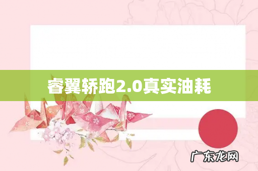 睿翼轿跑2.0真实油耗