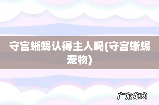 守宫蜥蜴宠物 守宫蜥蜴认得主人吗