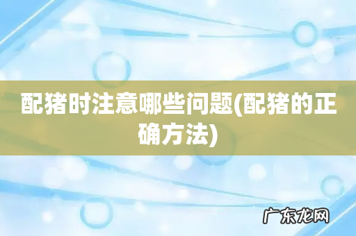 配猪的正确方法 配猪时注意哪些问题