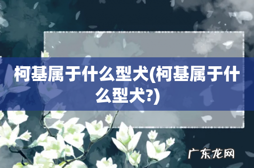 柯基属于什么型犬? 柯基属于什么型犬