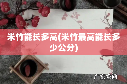 米竹最高能长多少公分 米竹能长多高