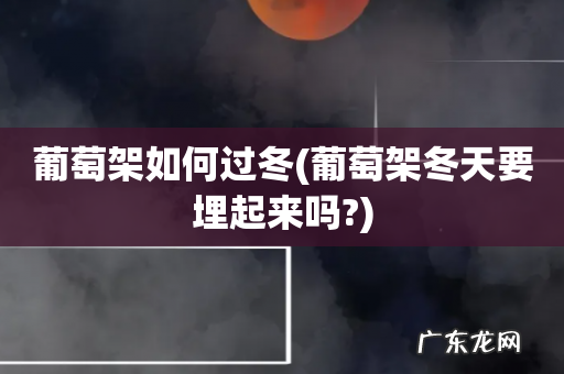 葡萄架冬天要埋起来吗? 葡萄架如何过冬