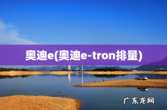 奥迪e-tron排量 奥迪e