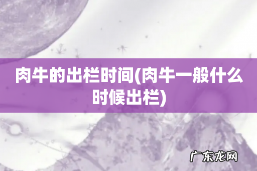 肉牛一般什么时候出栏 肉牛的出栏时间