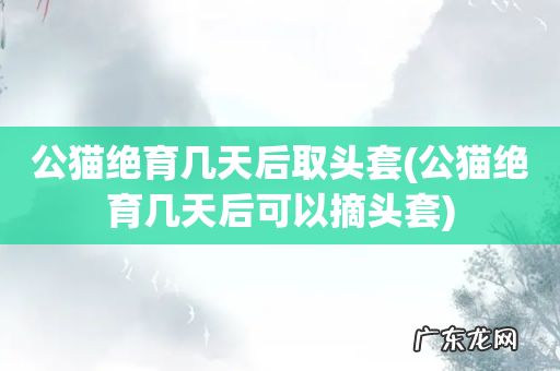 公猫绝育几天后可以摘头套 公猫绝育几天后取头套