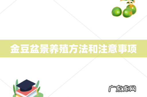 金豆盆景养殖方法和注意事项