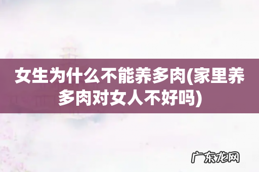 家里养多肉对女人不好吗 女生为什么不能养多肉