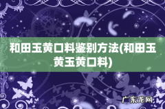 和田玉黄玉黄口料 和田玉黄口料鉴别方法