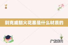 别克威朗火花塞是什么材质的